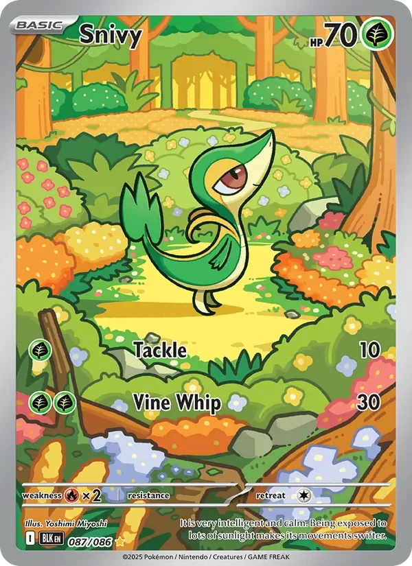Snivy - Full Art