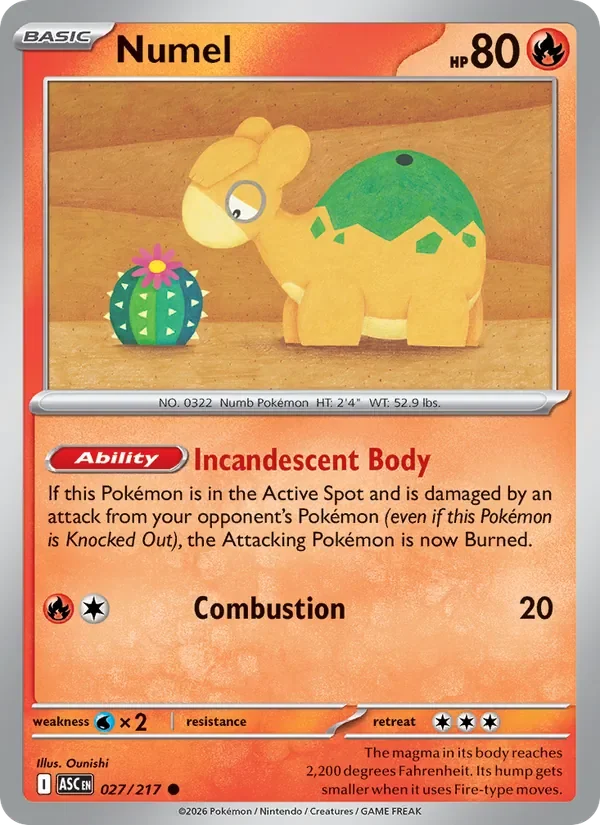 Numel - Non-holo