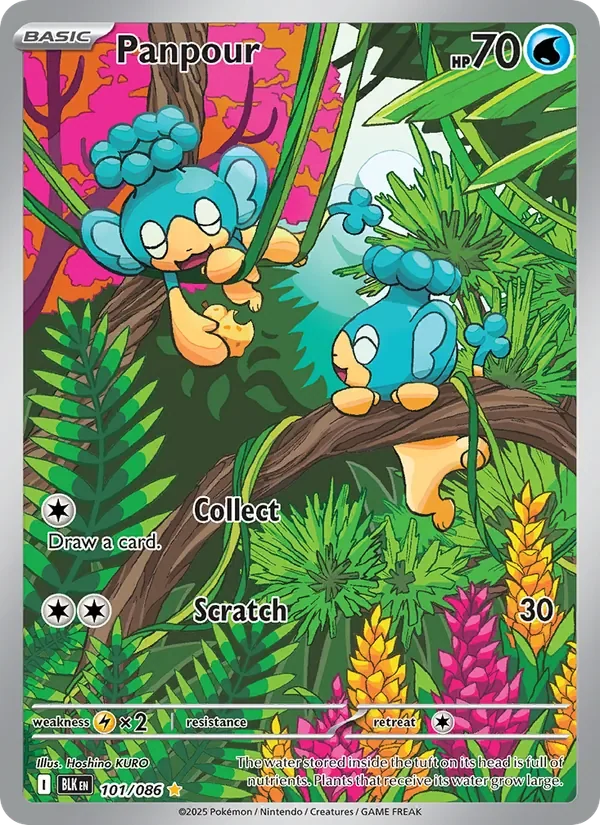 Panpour - Full Art
