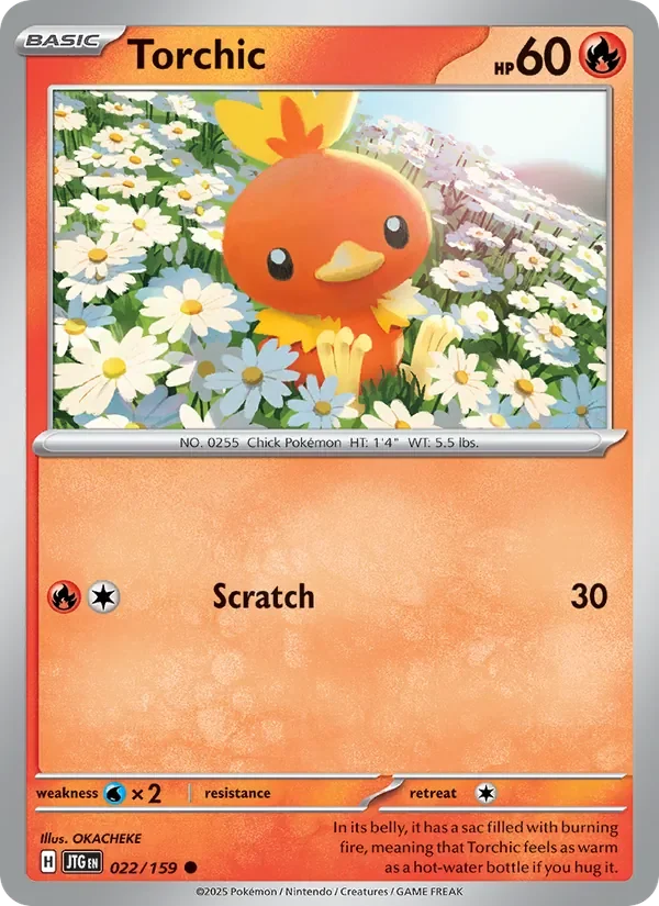 Torchic - Non-holo