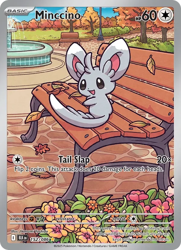 Minccino - Full Art