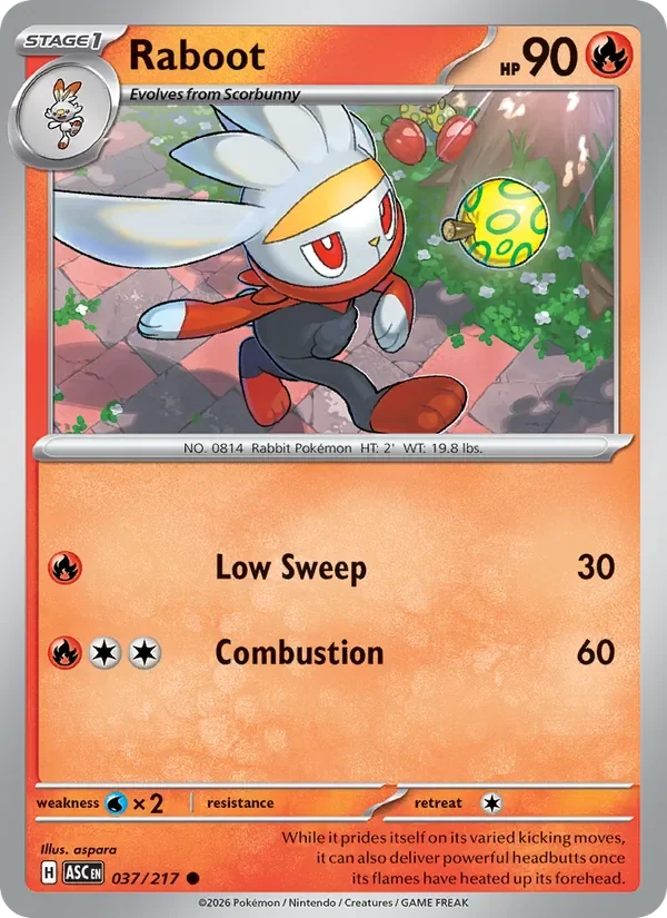 Raboot - Non-holo