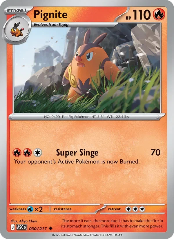 Pignite - Non-holo