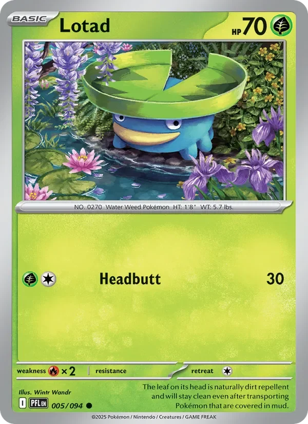 Lotad - Non-holo