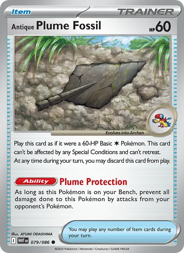 Antique Plume Fossil - Non-holo