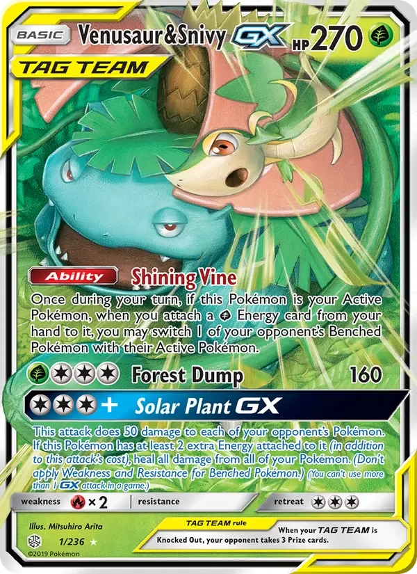 Venusaur & Snivy GX - Non-holo