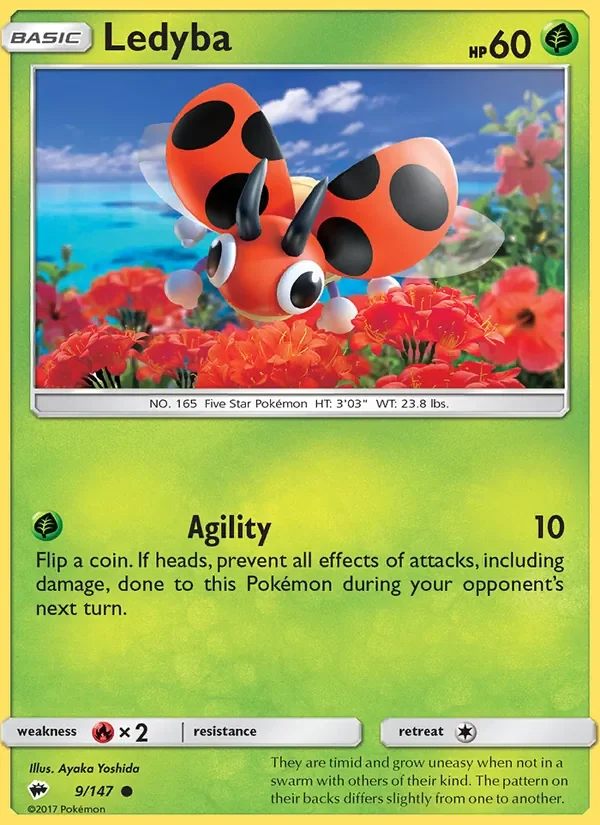 Ledyba - Non-holo