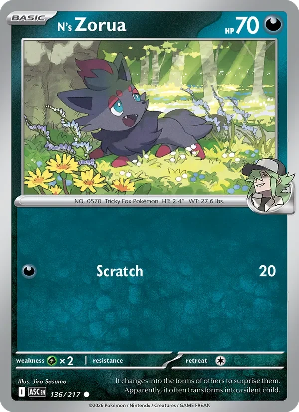 N's Zorua - Non-holo