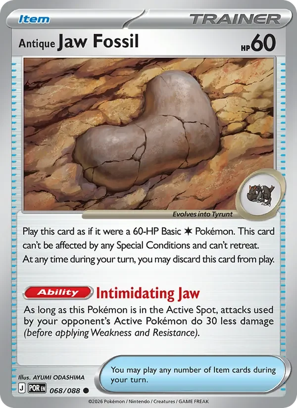 Antique Jaw Fossil - Non-holo