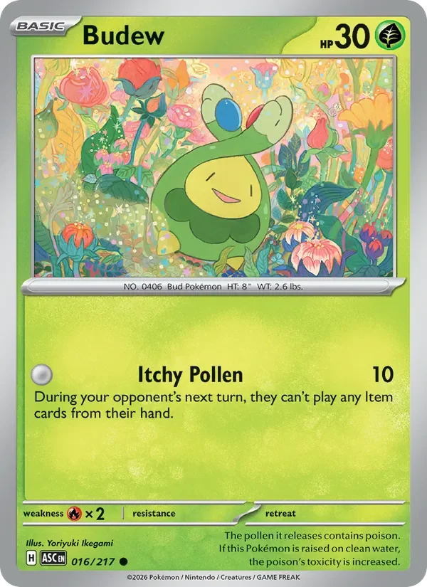 Budew - Non-holo