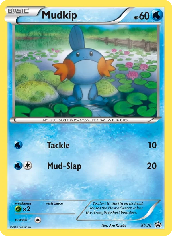 Mudkip - Non-holo