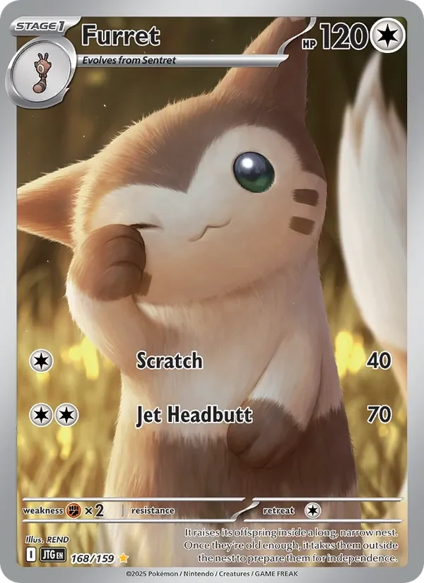 Furret - Full Art