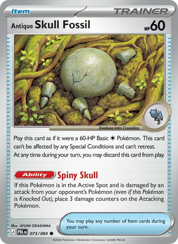 Antique Skull Fossil - Non-holo