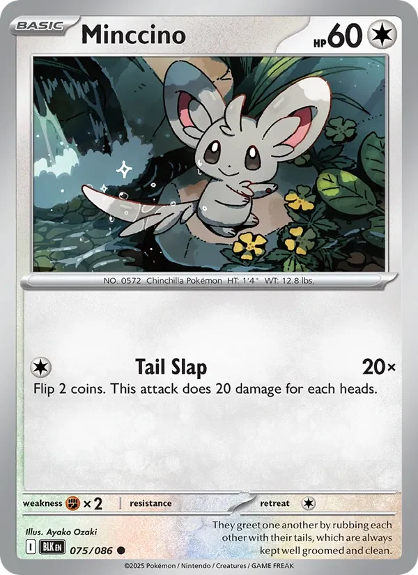 Minccino - Non-holo