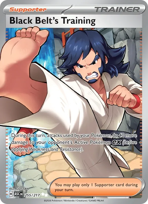 Black Belt's Training - Full Art