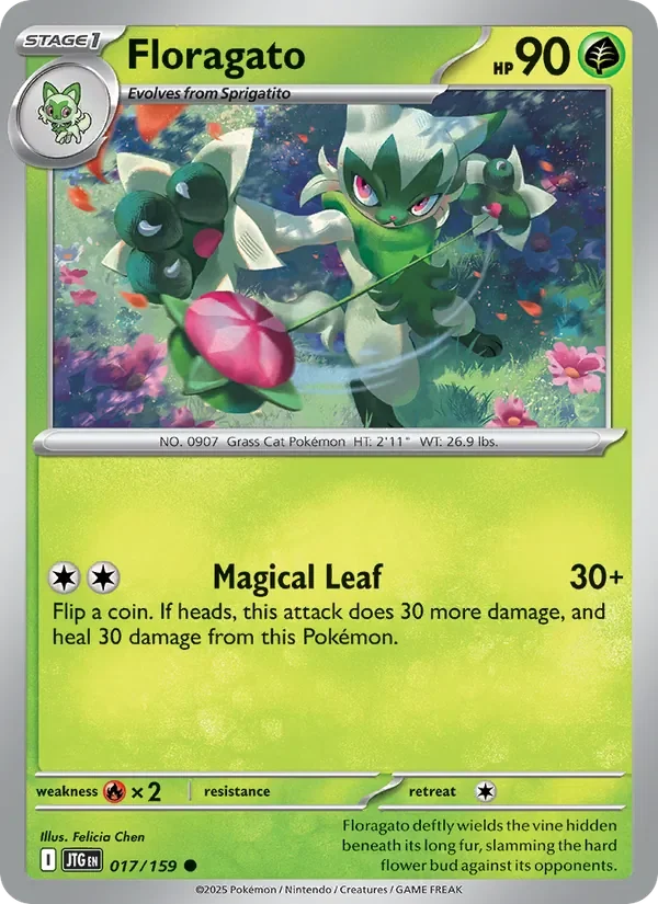 Floragato - Non-holo