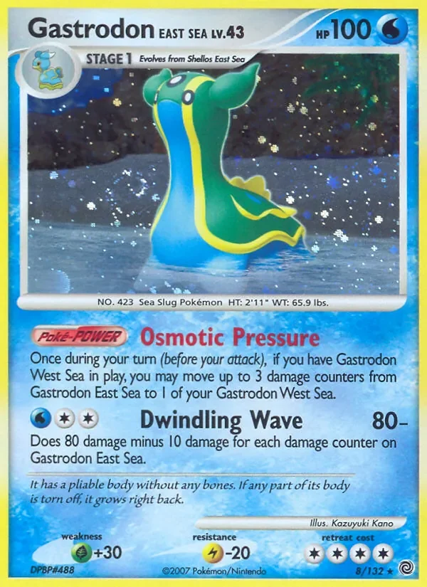 Gastrodon East Sea - Holo