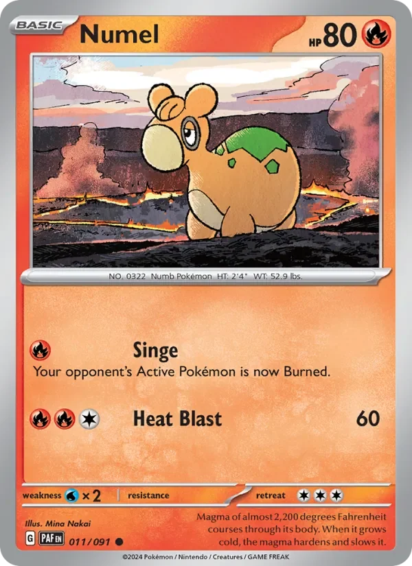 Numel - Non-holo