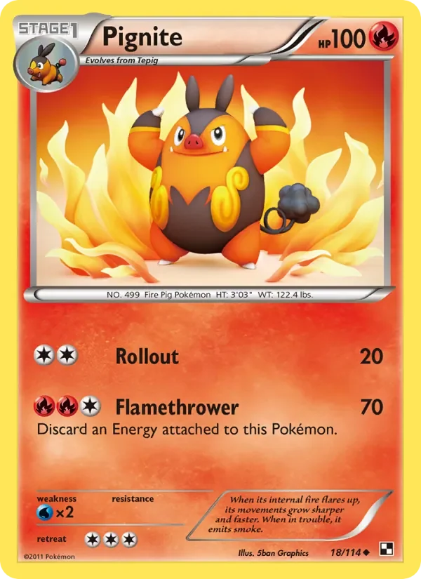 Pignite - Non-holo