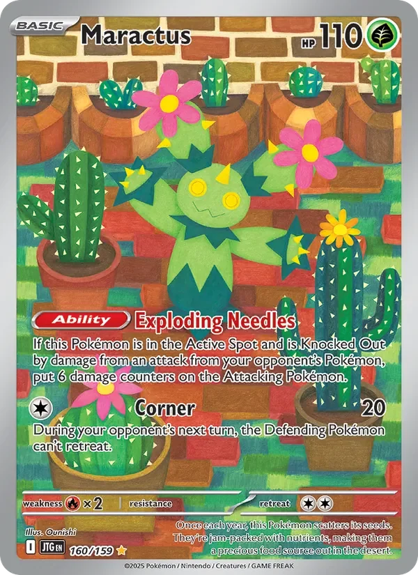 Maractus - Full Art