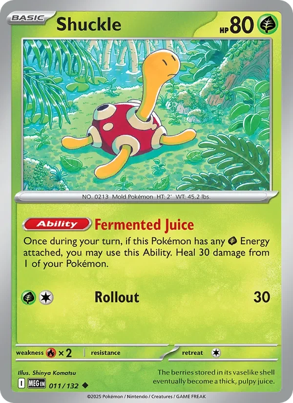 Shuckle - Non-holo
