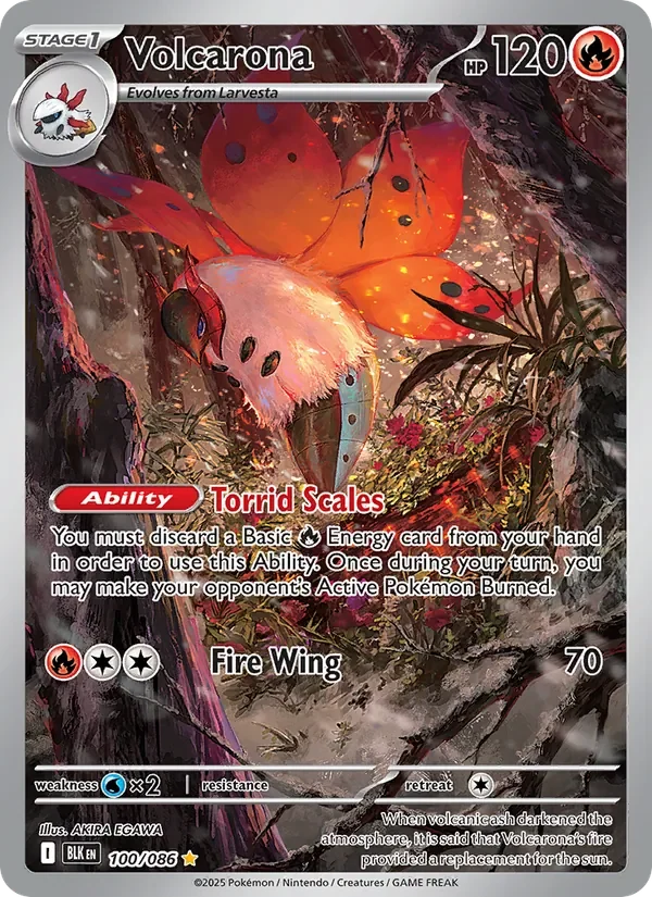 Volcarona - Full Art